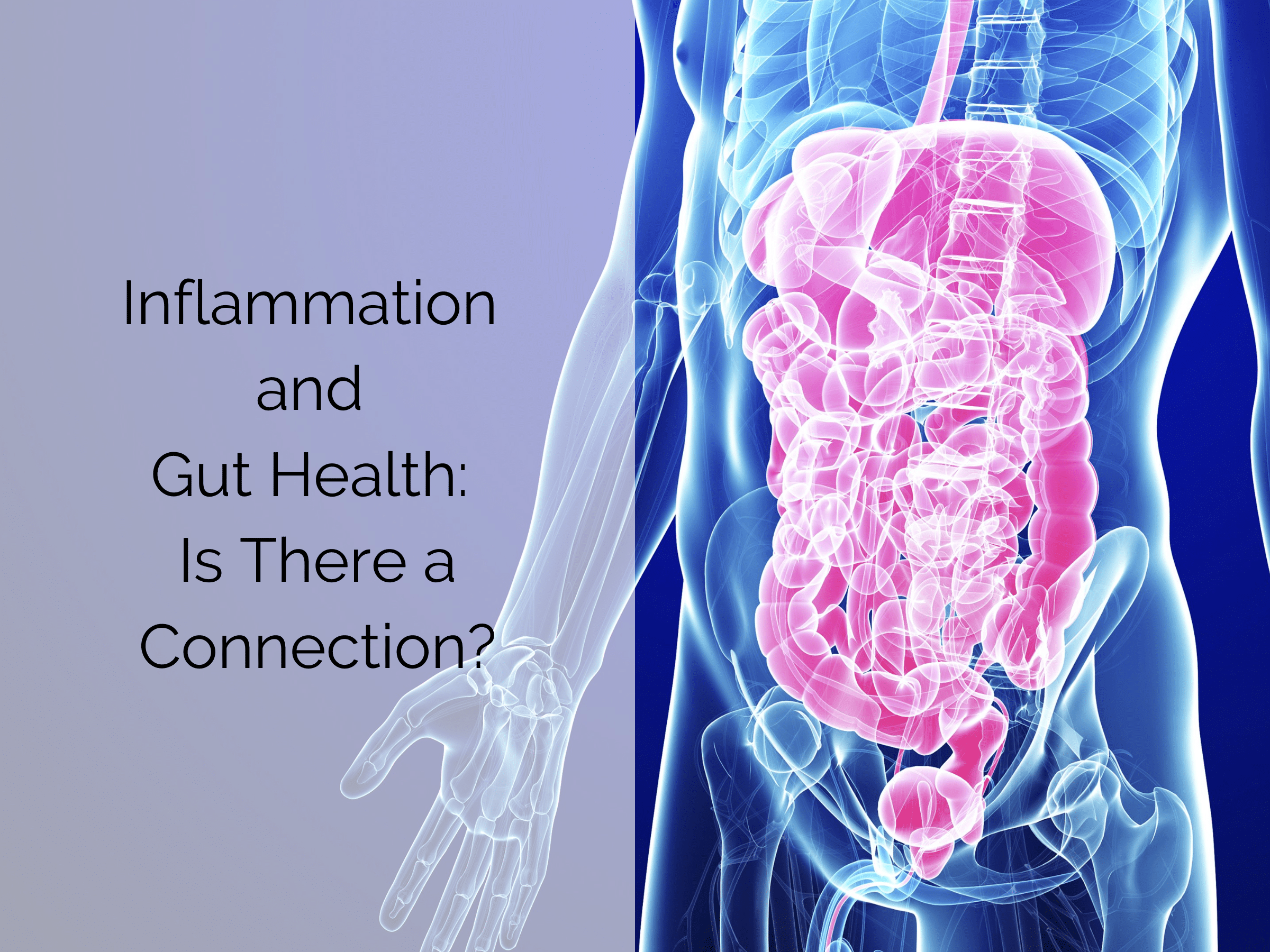 Gut Health and Inflammation (4 × 3 in)